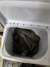 荣事达（Royalstar）洗衣机半自动家用大容量双桶 宿舍出租房小型波轮双缸洗脱分用 节能易操作 15.5KG【洗10KG+脱5.5KG】易操作 双缸 实拍图
