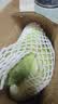 2025新鲜黄心大娃娃菜大白菜蔬菜辣白菜酸菜包心菜黄心白菜 湖北新鲜娃娃菜3斤净重2.7斤 实拍图