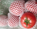 童年味道西红柿约1kg 实拍图