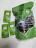 屹宏（yihong）2026新茶明前白毫毛尖茶叶250g 广西柳州三江绿茶 布央高山云雾茶 屹宏明前毛尖 250g 实拍图