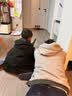 喜福礼打靶射击玩具男女孩电子计分软弹枪手枪室内发射器大礼盒61儿童节 软弹枪打靶礼盒装【移动电子靶+软弹枪2把+软弹40颗】 2026火的最玩具电子计分男童生日六一儿童节送礼物 实拍图