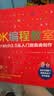 DK编程经典启蒙系列：从Scratch到Python（全2册）DK编程教室+DK游戏中学编程少儿编程编程启蒙 实拍图