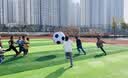 TaTanice充气大足球户外玩具儿童幼儿园皮球巨型草坪沙滩大排球生日礼物 实拍图