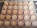 京鲜生【供港品质】【每日鲜蛋】无抗谷物鸡蛋30枚3.78斤当日产蛋当日发 实拍图