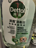 滴露（Dettol）宠物家庭消毒液1L灭杀真菌细菌 猫砂去味 宠物除臭除味剂消毒水 实拍图