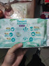 帮宝适[会员专享试用装]清新帮拉拉裤尿不湿尿片 超薄透气XL4 实拍图