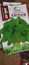 播种心情家庭种植蔬菜种子大全四季播种阳台盆栽农家庭院小菜园有机香菜菠 空心菜种子2包 实拍图