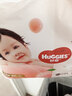 好奇（Huggies）铂金装小桃裤拉拉裤箱装XXXL64片尿不湿【透爽散热】 实拍图