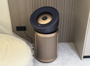戴森（DYSON）BP04空气净化器 滤除病毒 大面积净化过敏原除甲醛  除PM2.5宠物毛发 医护级 宠护认证 蓝金色 实拍图
