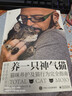 养一只神气猫――猫咪养护及猫行为完全指南 实拍图