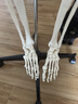 蓝蝶170CM医学全身人体骨骼模型骨盆瑜伽关节可拆卸解剖结构骨架标本 170CM人体骨骼-无神经款 晒单实拍图