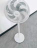 美的（Midea） 电风扇 家用风扇7叶落地扇立式轻音节能大风量电扇台扇迷你扇台立两用转页扇空气循环扇安静低音 店长推荐丨7叶劲风 百万单·SAF30AC 家用落地扇 实拍图