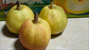 京鲜生 新疆库尔勒香梨 4.5斤装 特级 单果120g+ 生鲜水果 实拍图