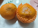土八鲜湖北秭归伦晚脐橙纽荷尔鲜橙新鲜水果手剥甜橙礼盒 奋进橙9-10斤【单果150g+】 实拍图