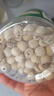 十月稻田 莲子 400g 湘潭产去芯磨皮白莲子 桂圆百合银耳羹煲汤食材 实拍图