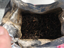 福茗源英德红茶英红九号500g 特级2026新茶古树红茶叶茶叶礼盒送长辈 实拍图