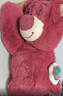 迪士尼（Disney）毛绒公仔玩偶抱枕送女友生日礼物女生 玩具总动员草莓熊50cm毛毯 实拍图