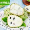 红旭（HONGXU） 兴源大号七珠算盘十三档7珠黑色实木老式银行会计财务珠心算盘 大号13档/7珠-红色37.5x17x2.8cm 实拍图