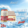 百威啤酒经典纯生330ml*24听整箱装新旧包装随机京东自营踏春送礼 实拍图