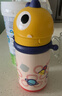 babycare儿童水杯6个月以上宝宝霸王龙不锈钢保温杯上学450ml-新旧款混发 实拍图
