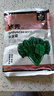 寿禾 大叶小叶菠菜种子大全波菜种红根耐寒蔬菜四季播寿光冬春季菜籽 （耐寒）寒秀肉菠菜种子300g 实拍图