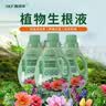施可丰生根液强力快速发根扦插移栽植物花卉壮苗水剂绿植水培营养液通用 实拍图