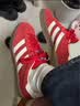 阿迪达斯（adidas）（adidas）三叶草男女鞋GAZELLE INDOOR低帮休闲鞋IF1808红白36.5 实拍图