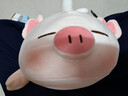 名创优品（MINISO）小猪B-BO翅膀款趴毛绒公仔玩具玩偶抱枕娃娃靠枕生日礼物女 实拍图