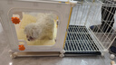蔻丝狗笼子小型犬比熊博美一室一厅一卫带厕所分离宠物专用小别墅狗窝 中号-厕卧分区带天窗【70*45*42】加深45cm 升级厕所款：分区带天窗狗笼+厕所托盘 实拍图
