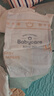 babycare皇室pro裸感纸尿裤L码3片试用装(9-14kg)宝宝婴儿尿不湿超薄透气 实拍图