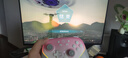 盖世小鸡（GAMESIR）超新星无线游戏手柄带底座 适用switch2手机PC安卓Steam电脑NSpro电视体感蓝牙粉色仁王3宏编程 实拍图