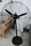 钻石牌壁扇工业风扇大风力电风扇牛角扇大功率工厂车间商用立式工业大风扇吹除甲醛FS-50 实拍图