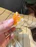 臻好恰果脯桔子干橘子片蜜橘蜜桔丑橘金桔金橘蜜饯水果干休闲小零食干果 果脯桔子干250g*1袋 实拍图