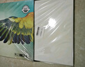 得印(befon)A4不干胶亚面铜版纸 背胶贴纸 电脑打印标签纸 亚面210*297mm 100张/包 实拍图