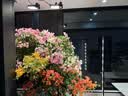 三思植物补光灯仿太阳全光谱植物灯 室内植物生长灯-80W侧发光 实拍图