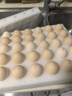 温氏供港DHA鲜鸡蛋30枚/3斤/礼盒装 儿童孕妇 优质高营养 送礼佳品 实拍图