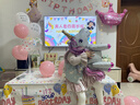 新新精艺生日布置场景装饰品气球小女孩生日派对周岁儿童仪式感氛围布置 实拍图