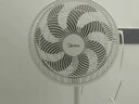 美的（Midea）【品质推荐】七叶轻音柔风电风扇/家用省电落地扇/台式电扇/广角摇头节能宿舍小型风扇 SAE35CA 实拍图
