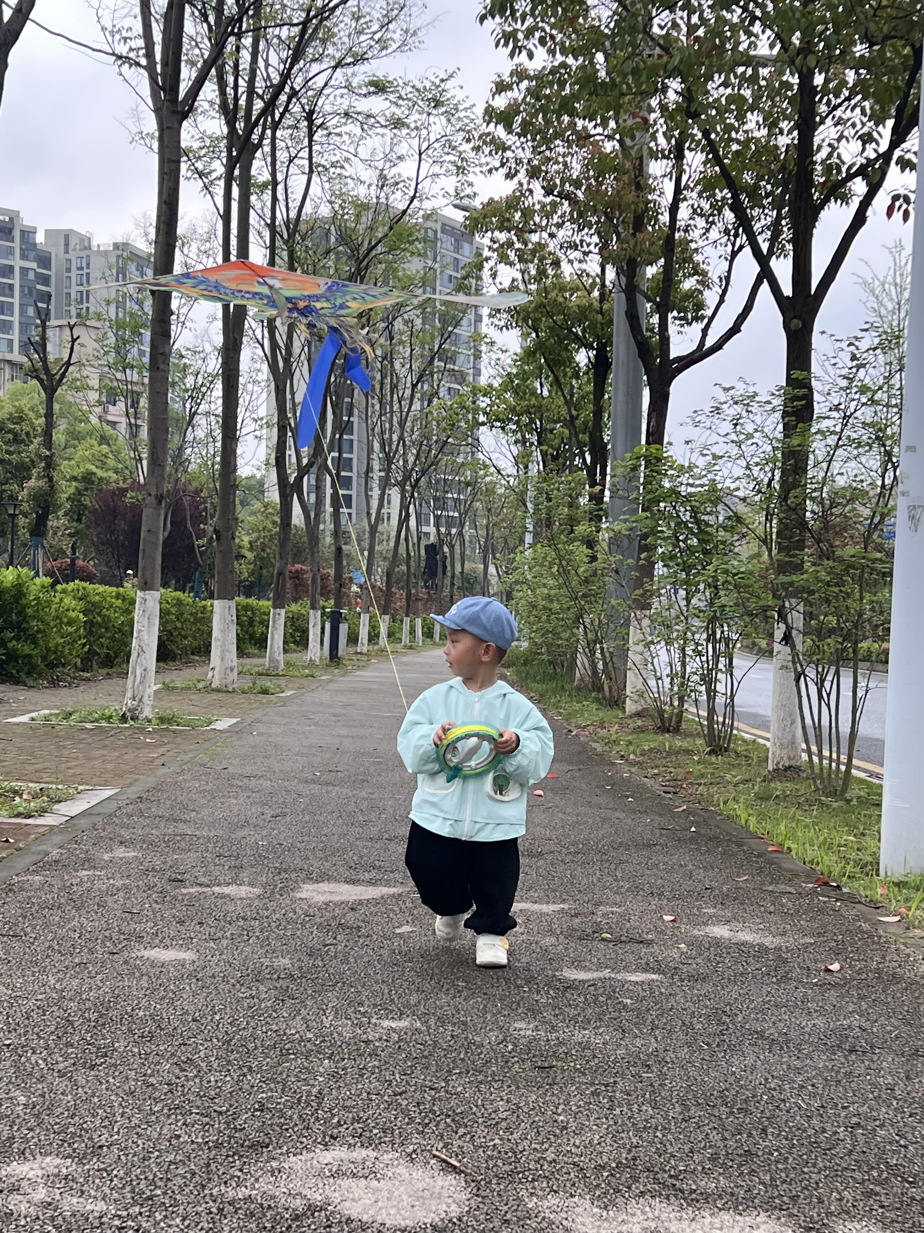 马丁兄弟（Martin brother）马丁兄弟凤凰风筝玩具儿童成大人微风易飞新款国潮长尾潍坊风筝 实拍图
