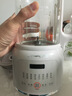 九阳（Joyoung）1.2L豆浆机26年新款破壁免滤高温自清洁巴氏杀菌预约家用多功能小型破壁机榨汁机DJ12X-D137 实拍图