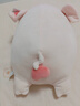 名创优品（MINISO）小猪B-BO弹力超柔趴姿公仔毛绒玩具玩偶抱枕靠枕娃娃生日礼物女 实拍图
