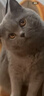 猛玛悦声S1无线领夹麦克风 苹果手机直播MOMA猛犸s1麦克风直插话筒vlog户外采访声卡降噪长续航收音麦 实拍图