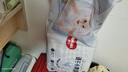 好奇（Huggies）金装拉拉裤XL96片(12-17kg)尿不湿【速干不易红】 实拍图