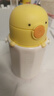 乐扣乐扣（LOCK&LOCK）小动物儿童保温杯316L不锈钢吸管水杯学生杯子便携水壶 300ml黄色 实拍图
