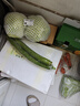 碧水长丝瓜约600g 实拍图