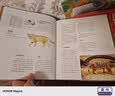 世界野生猫科动物（中国国家地理  科普读物 大猫家族 大猫手绘画册！摄影照片 “猫盟”翻译！老虎 狮子 兔狲 雪豹 豹猫） 实拍图