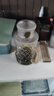 唯铭诺玻璃水壶耐高温冷水壶家用凉水壶复古泡茶养生花茶壶凉白开扎壶 实拍图