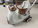 bebehaha摇摇乐婴儿推车26年款遛娃神器二合一溜马儿童手推车1-5岁橄榄棕 实拍图
