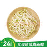 【24小时鲜】油菜苗250g(长度≤17cm) 实拍图