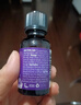 星期四农庄澳洲进口薰衣草单方精油50ml香薰天然镇静睡眠助眠安神送女友 实拍图